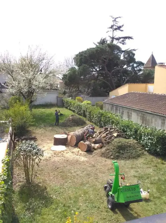 Chargement de branches dans un camion benne