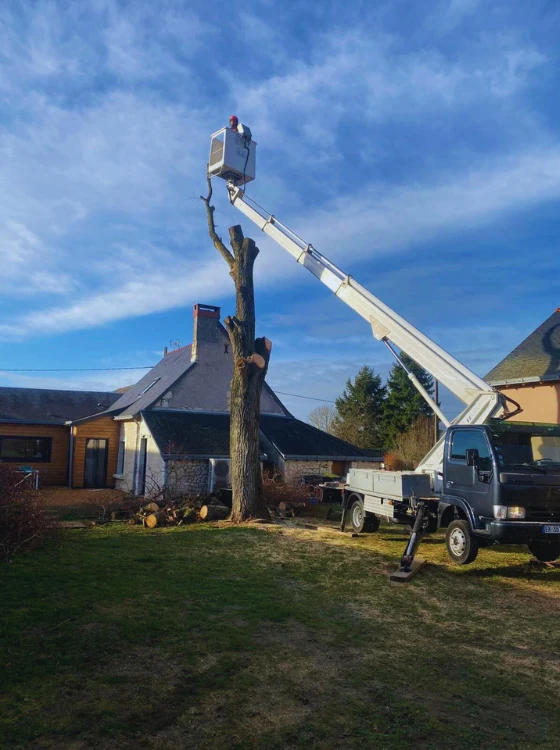 Jardin de particulier entretenu