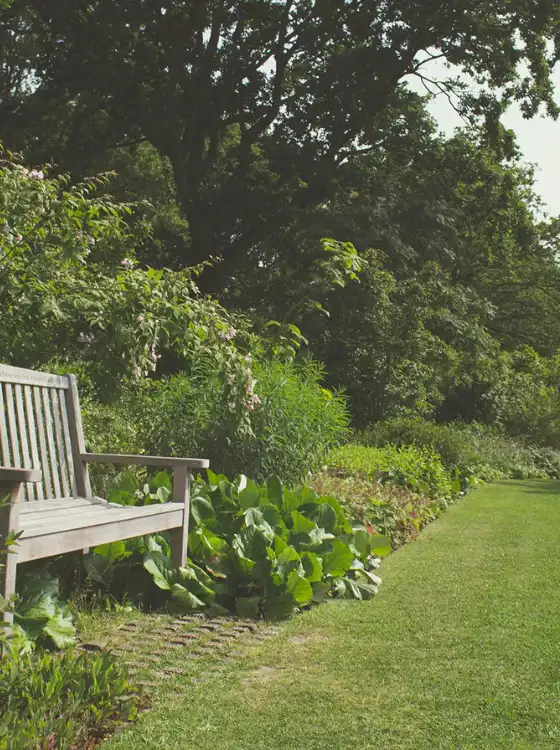 Jardinier plantant des arbustes