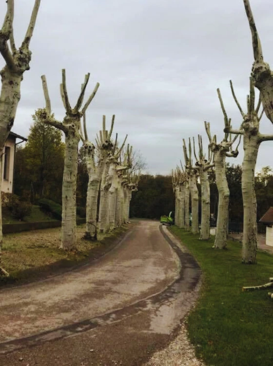 Résidence en copropriété