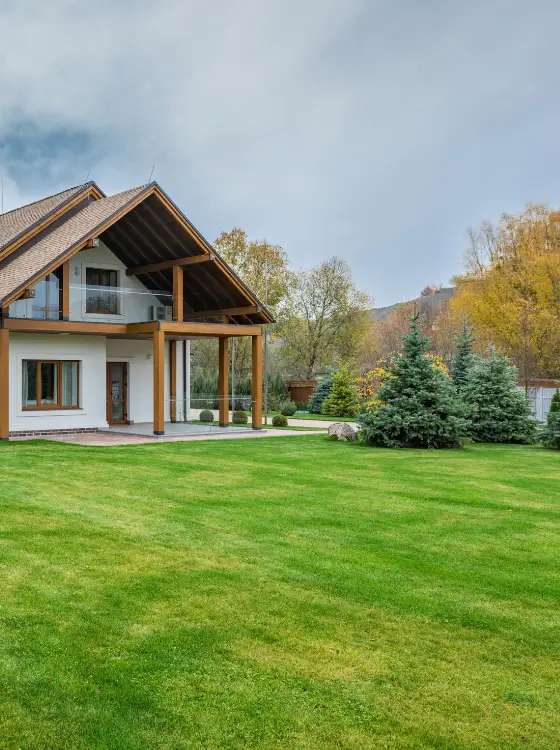 Emplacement propre après enlèvement de souche