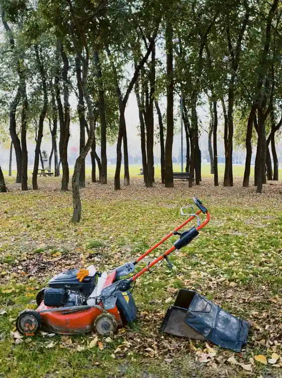 Jardinier tondant la pelouse